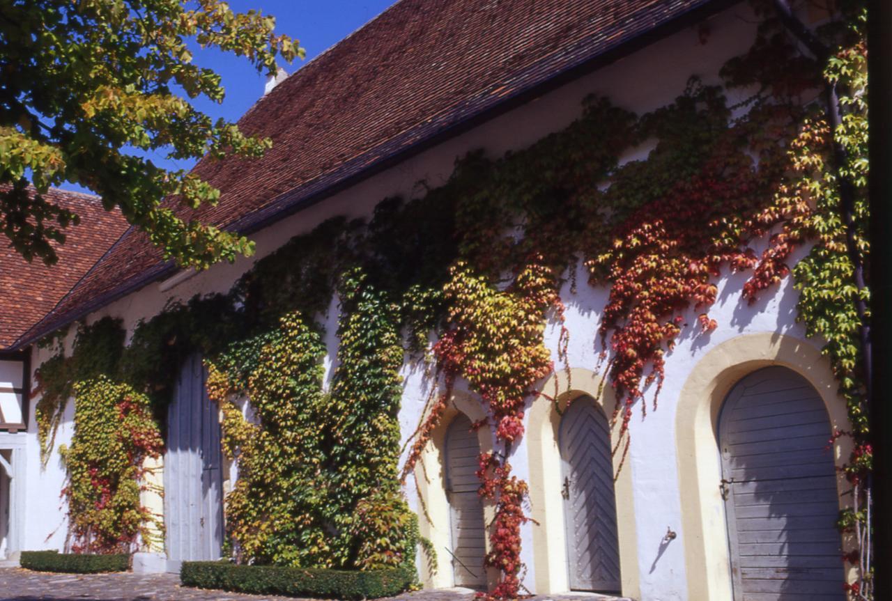 Markgraeflich Badischer Gasthof Schwanen Salem  Exterior photo