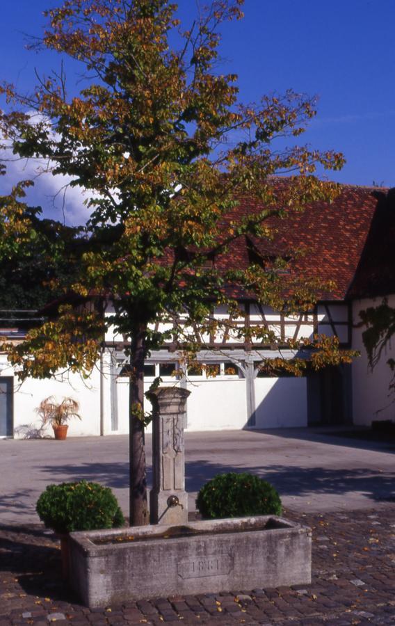 Markgraeflich Badischer Gasthof Schwanen Salem  Exterior photo